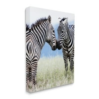 Stupell Industries srceparajuće ljubljenje zebri u polju životinjske Divlje životinje Galerija fotografija