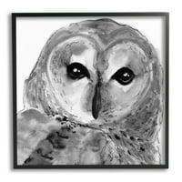 Stupell Industries Close Up Barn Owl Bird Gazing Ink Watercolor Painting Black Framered Art Print Wall Art,