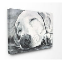 Stupell Industries Sleepy Dog Pet životinja akvarelna slika platnena zidna Umjetnost George Dyachenko